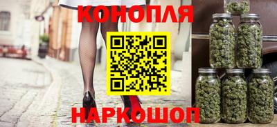 сатива Бердск