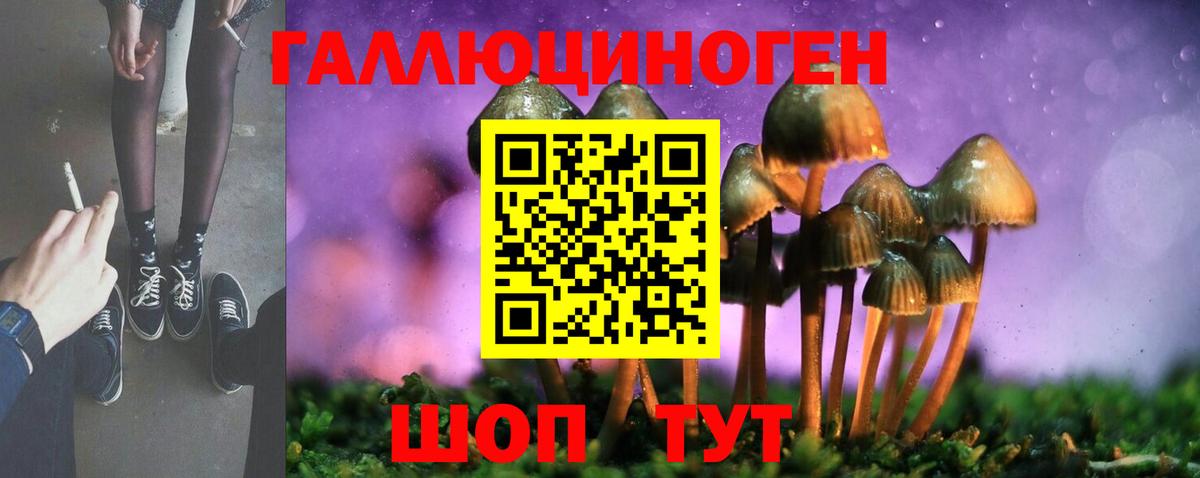 Псилоцибиновые грибы GOLDEN TEACHER Павловский Посад